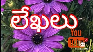 లేఖలు  [లేఖ లోని అంశలు]