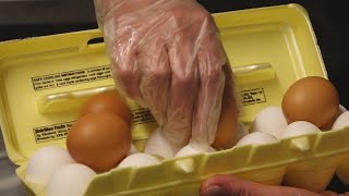 Springfield bakeries and cafes dealing with huge price hikes on eggs