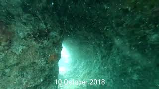 Spearfishing Sedgefield Oct 2018