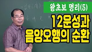 왕초보 명리 공부 : 12운성과 음양오행의 순환 - 연태희 선생님