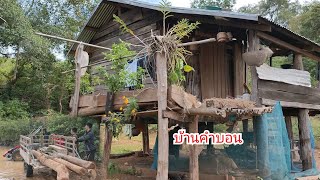 นั่งรถไถไปเอาไม้อยู่บ้านคำบอน /ຂີ່ລົດໄຖໄປເອົາໄມ້ຢູ່ບ້ານຄຳບອນ