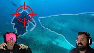 DIVERS REACT TO SHARK ATTACK CAUGHT ON VIDEO