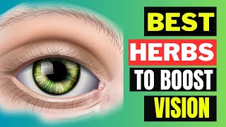 Top 12 Herbs for Healthy Eyes: Keeping Your Vision Clear and Strong | Health Miracles\
