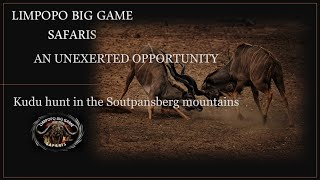 Southern Great Kudu hunt South Africa (AN UNEXPECTED OPPORTUNITY)