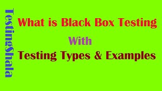 black box testing explanation with real time examples, procedures and methods | testing types