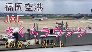 JAL福岡空港さくらラウンジ60分ノーカット／離陸・着陸