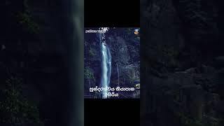 සුන්දරත්වය කියාපාන අසිරිය#/sri lanka#/short video#/pathum vlogs😍