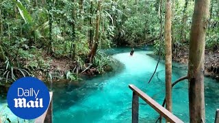 Beautiful blue lake hidden away in Indonesian forest - Daily Mail