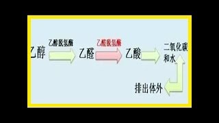 「喝酒臉紅」和「喝酒臉白」，究竟哪個更能喝？