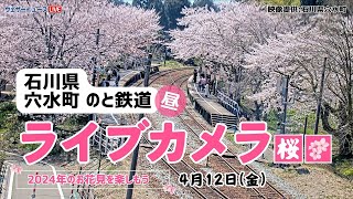 【LIVE】🌸能登さくら駅🌸 満開桜ライブカメラ ＜石川県穴水町 のと鉄道／能登鹿島駅周辺＞2024年4月12日(金)