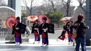 壱夢さん（1st）／2011天空よさこい