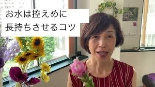 夏のお花を長持ちさせるには？ひまわり＆クルクマ 編