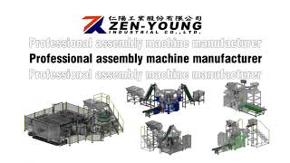 MODEL: ZYB  SELF- DRILLING / TAPPING SCREW \u0026  BONDED / BAZ WASHER ASSEMBLY MACHINE