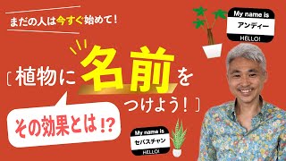 まだの人はすぐに始めて！【植物に名前を付けよう】その効果とは！？