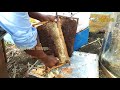 how to start honey bee farm తేనె పరిశ్రమ honey making telugu agritech telugu