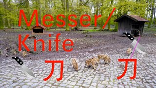 2500 Chinesische Wörter lernen / Chinese words Learning：第八课/Lektion//Lesson8-1  刀🔪  教你说一口地道的流利的汉语！