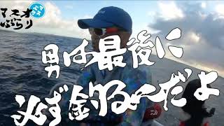 マスオぶらり#17 【沖縄GT 後編】