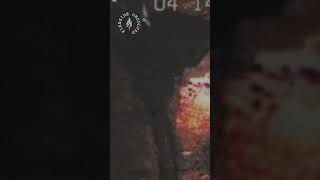 Unsettling Videos Linked to Bizarre Cold Cases | Episode 224