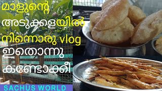 ഒരു morning vlog | അടുക്കളയിൽ നിന്നൊരു vlog