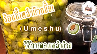 ง่ายกว่าปอกกล้วย!! วิธีการดองเหล้าบ๊วย (Umeshu) ใน 5 นาที | FARMS‘SUK