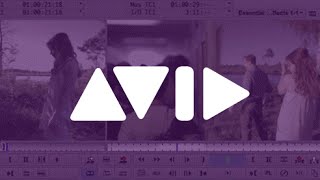 Essential Video Effects in Avid Media Composer: Introduction