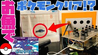 【2263h～海底洞窟編】ペットの魚でポケモンクリア_Clear the pokemon with fish【作業用BGM】