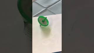 The SpinTop that Draws Wormholes