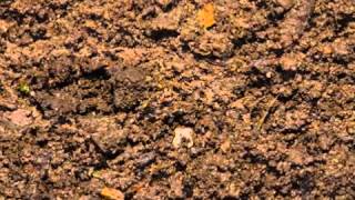 Site Investigations - Soil Investigation (Eastern) Ltd