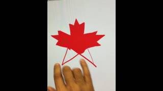 Live Drawing: Canadian Maple Leaf (for Canada Day)