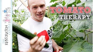 Polytunnel Update - Food It Yourself