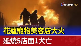 花蓮寵物美容店大火 延燒5店面1犬亡