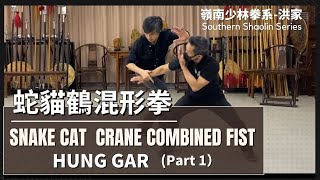 【課堂重溫】嶺南 少林拳系 洪家-蛇貓鶴混形拳 (一）Hung Gar-Snake Cat Crane Combined Fist (Part1)