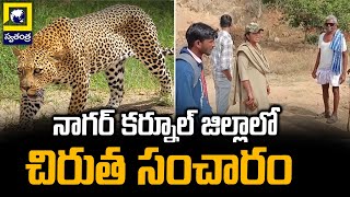 నాగర్ కర్నూల్ జిల్లాలో చిరుత సంచారం | నాగర్ కర్నూల్ జిల్లాలో చిరుతపులి వలస | స్వతంత్ర టీవీ