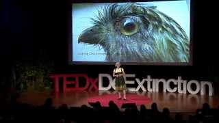 A still life of stilled life: Isabella Kirkland at TEDxDeExtinction