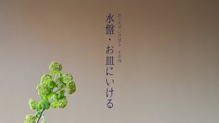 水盤・お皿にいける｜「おうちでいけばな」その4