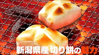 新潟じば食ファミリープロジェクト🍴 ～ 新潟県産 切り餅編 ～