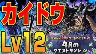 【4月クエストLv12】カイドウPTで簡単攻略【パズドラ解説動画】