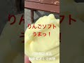 戸隠神社奥社行くと必ず食べて癒されるソフトクリーム shorts