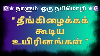 தீங்கிழைக்கக கூடிய உயிரினங்கள் #குர்ஆன் #bayan #tamilbayan #islam #prophetmuhammad #tamilquranhadhid