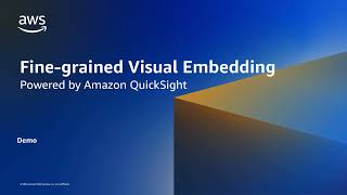 Fine-grained Visual Embedding Powered by Amazon QuickSight - Demo