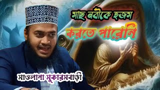 মাছ নবীকে হজম করতে পারেনি।মাওলানা মুকারমবাড়ী।