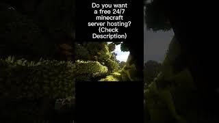 Free 24/7 Minecraft Server Hosting!  (READ DESC)
