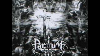 Pactum - Satanae Honores Flammis Adotere Infernus