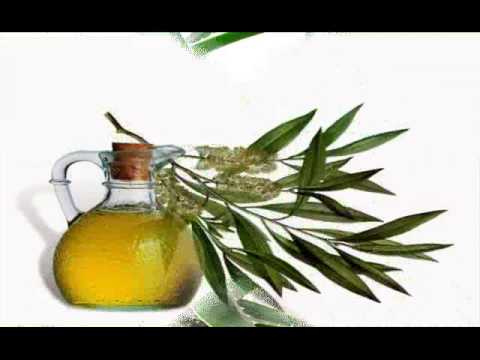 7 Natural Treatments For Angular Cheilitis 7 Natural Treatments For Angular Cheilitis