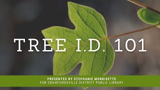 Tree ID 101