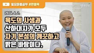 2024.06.02. [청혜선원] 일요공부ㅣ완릉록 제65회 “육도의 사생과 산하대지가 모두 자기 본성의 깨끗하고 밝은 바탕이다. \