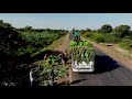 best ethiopian classical with a birds eye drone view of ethiopia landscape