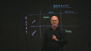 BLAST 10 Algorithms