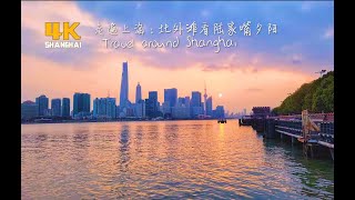 Shanghai Huangpu River: North Bund 北外滩  #shorts  @走遍上海