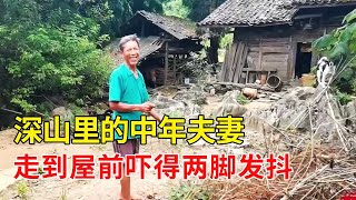 贵州深山发现一独户，走到屋前被吓得两脚发抖，幸好主人及时解围【乡村阿泰】